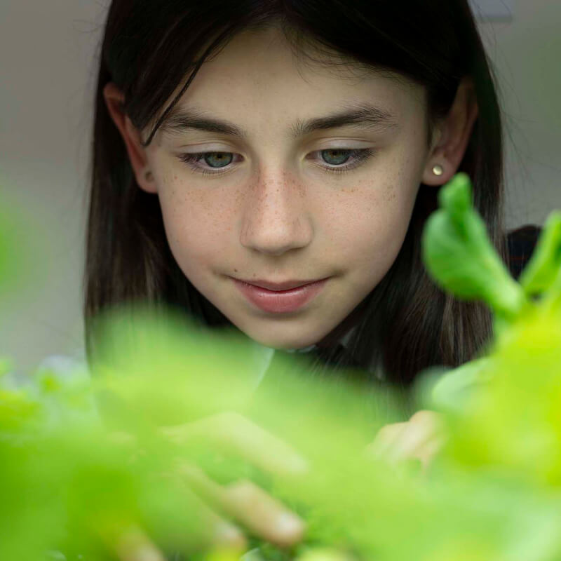 SJA Programs